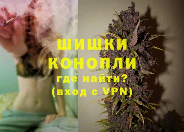 PSILOCYBIN Ладушкин