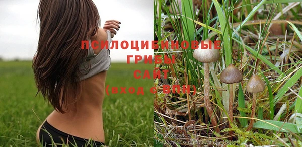 стафф Лабытнанги